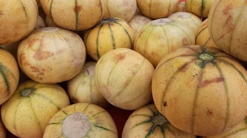 Du melon musqué vendu au supermarché Vidéothèque)