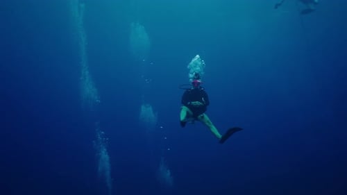 A Diver Descending Underwater
