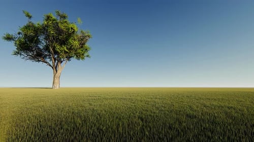 Animated Tree in a Green Field Landscape