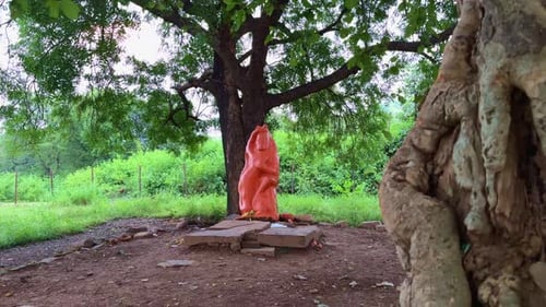 Idole de Hanuman sous un arbre sacré sur le site de Bharhut