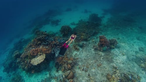 Woman freediver swims underwater over the healthy vivid coral reef in the Komodo National Park in In