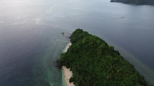 aerial view of the coastline filled with coconut trees