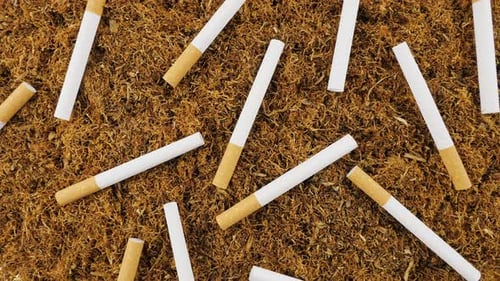 Tabaco y cigarrillos