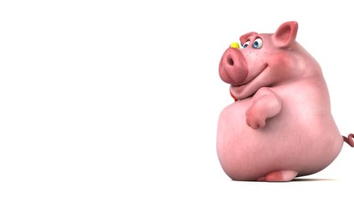Funny Cartoon Pig Character Presenting Colorful Speech Bubbles Animation