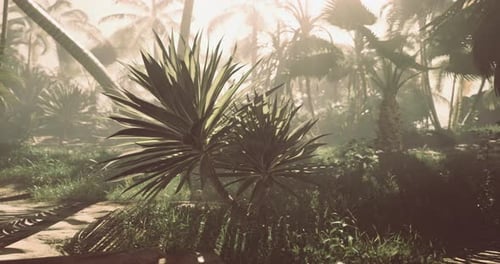 Lush Tropical Jungle Landscape with Palm Trees and Sunbeams