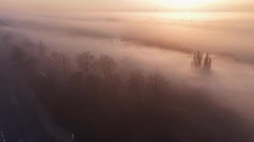 Fog covered rural landscape with a curving road bare trees and distant wind turbines glowing softly