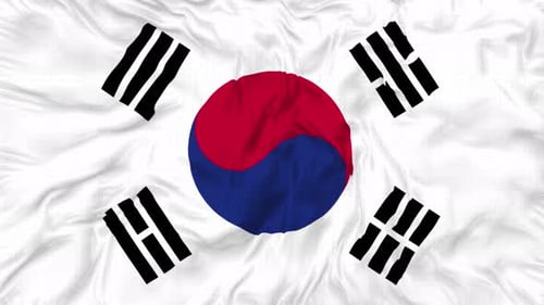 Winkschleife mit südkoreanischer Flagge