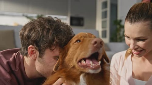Family Have Fun Dog in Apartment Close Up Smiling Man Embracing Fluffy Pet