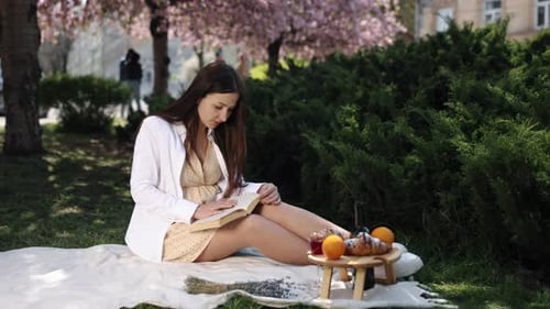 Reading Book Outdoor Literature Book Park