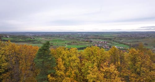 Vue aérienne se déplaçant latéralement le long de la cime des arbres colorés d'une forêt en automne avec des terres larges et uniformes
