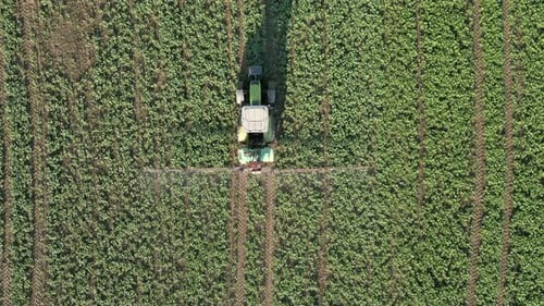 Tractor Sprays The Field Top View
