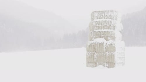 Hay in Snowy Blizzard on a Ranch
