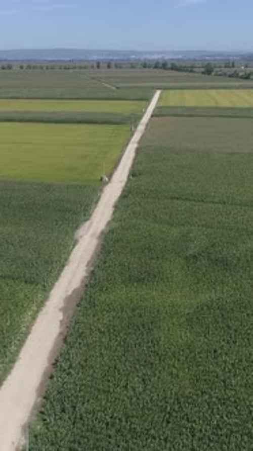 Panoramic View of Cultivated Fields and Rural Landscape