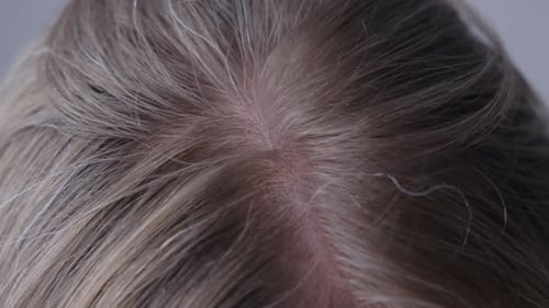 Close Up of a Young Woman with Gray Hair