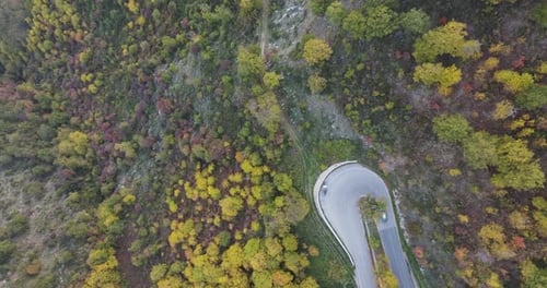 Aerial view of road curve with forest trees, Italy.