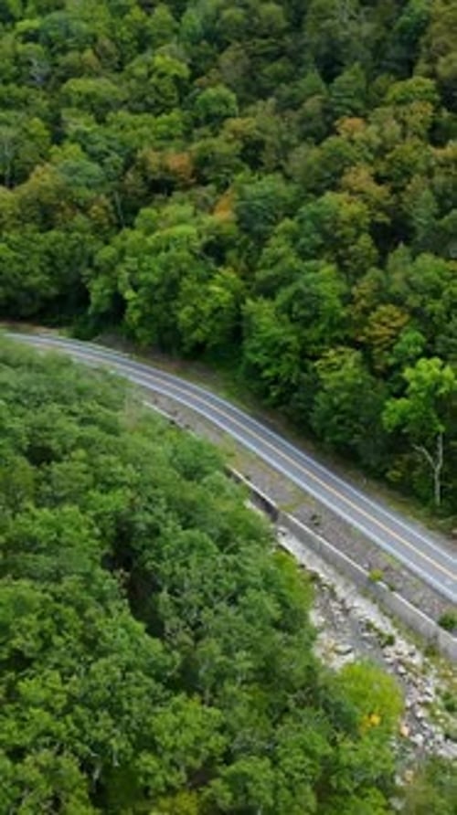 Aerial View of Winding Mohawk Trail in Lush Berkshires Forest, Massachusetts