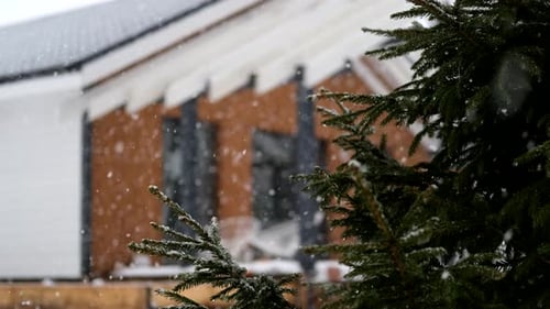 close-up of a fir tree branch in snowy weather against the backdrop of a country house