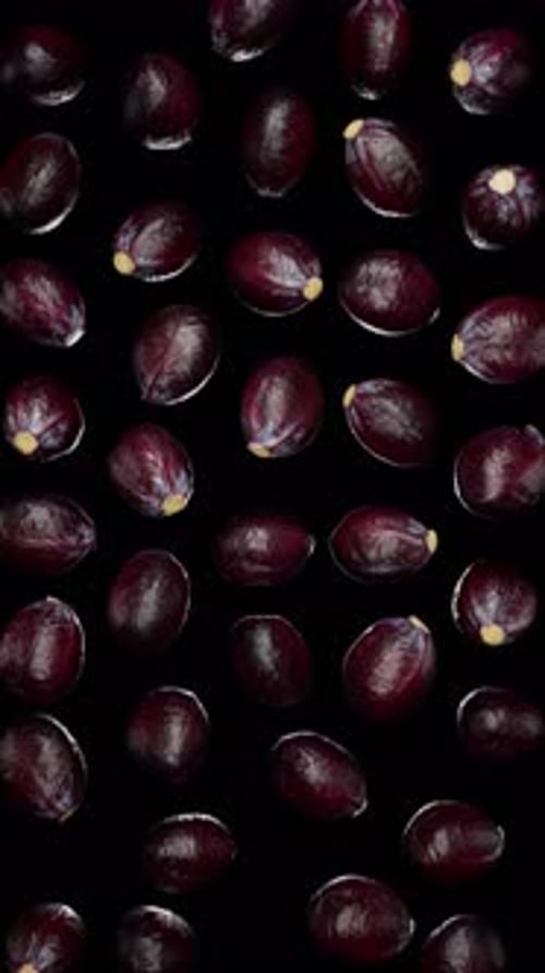 Dark Red Corn Kernels Falling Vertical Loop