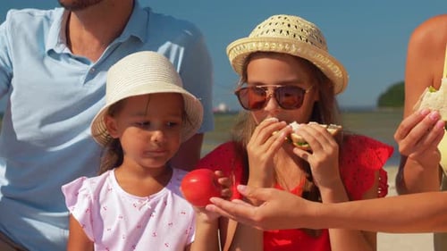 Family enjoying a picnic on the beach eating food