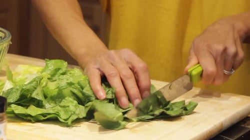 Woman Chopping Fresh Romaine Lettuce For Salad