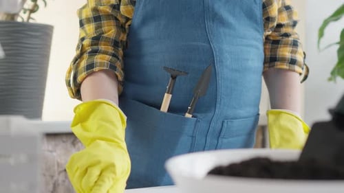 Gardener in Apron Preparing to Plant Houseplants