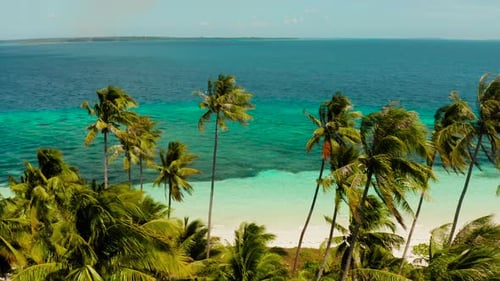 Tropical Island with Sandy Beach