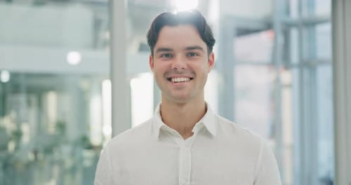 Face, smile and business man, auditor and professional in corporate office