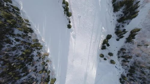 Aerial Top Down View of Skiers Going Down the Ski Slopes Between the Trees in Clear Winter Day Ski