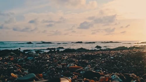 Man walking German Sheppard at the beach during sunset
