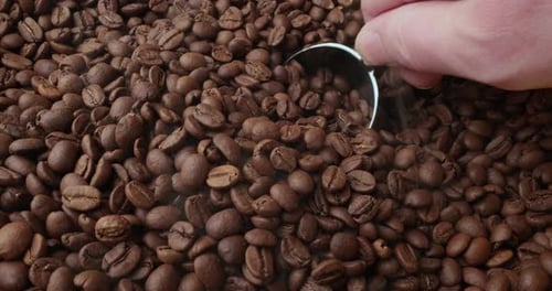 Nahaufnahme von Kaffeesamen. Duftende Kaffeebohnen sind gerösteter Rauch, der aus Kaffeebohnen stammt.