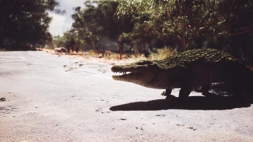 Crocodile marchant le long d'une rivière en plein jour dans un habitat naturel