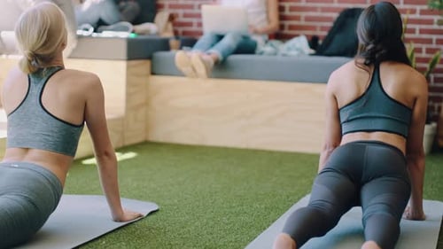 Business women, exercise and doing yoga in the office in a creative and ecofriendly workplace