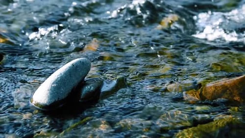 Dolly Slider Shot of the Splashing Water in a Mountain River Near Forest