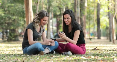 Candid friends outside at the park checking their cellphones. Girls seated looking at their