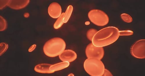 Animated Red Blood Cells Flowing in Microscopic Medical Background