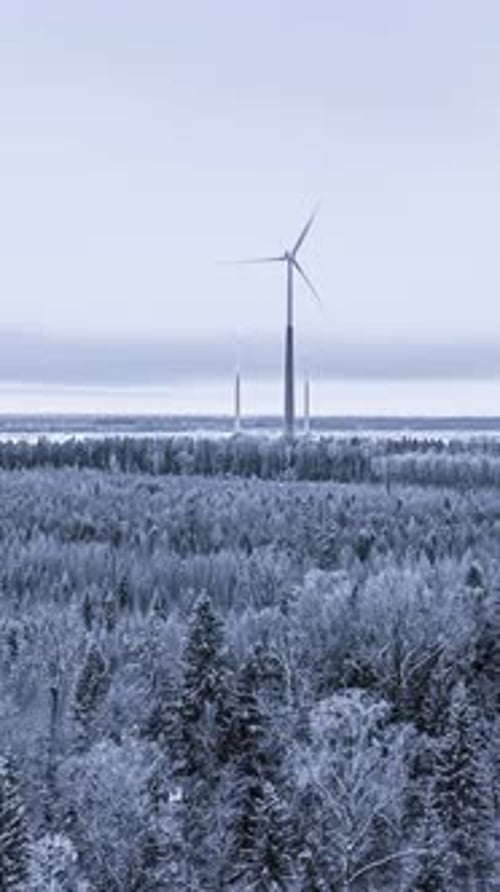 Snowy Windmills in Stillness: Hyperlapse in Winter Forest