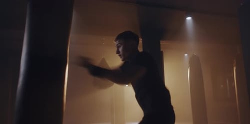 Young Boxer