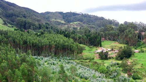 Lush Green Coniferous Trees In The Forest With Scenic Mountain Views In Cuenca, Ecuador. - aerial