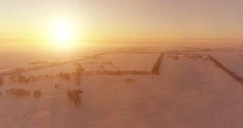 Aerial Drone View of Cold Winter Landscape with Arctic Field Trees Covered with Frost Snow and