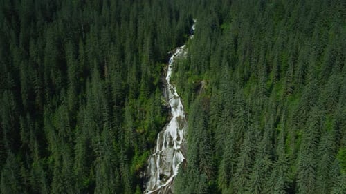 Aerial View of Forest Waterfall in Lush Wilderness