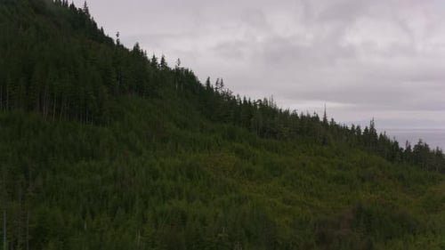 Alaska Flying Over Forested Land Along Alaska'S Coast