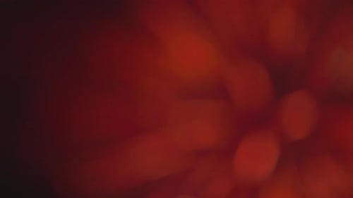 A Look at the Fireworks with a Transition to Defocus
