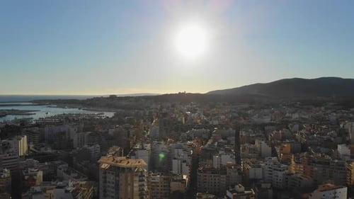 Imágenes de Zumbidos sobre Palma de Mallorca.