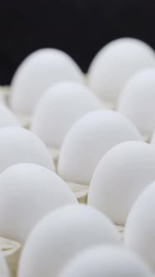 Close Up of Full Carton of White Eggs