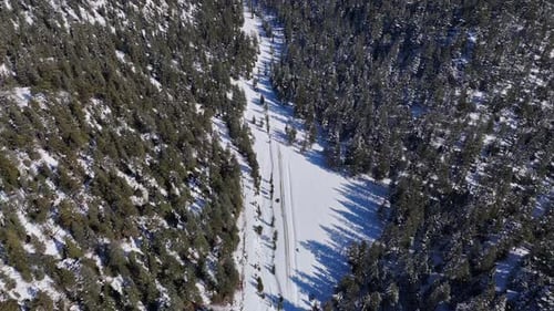 View of a snowy landscape among the trees from the top of the mountain