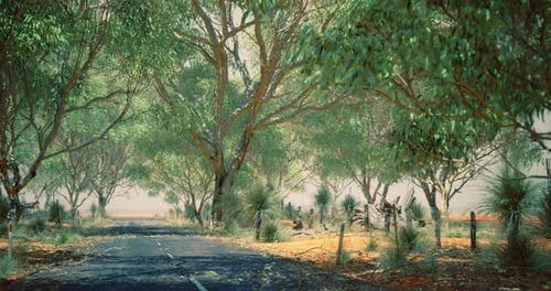 Exploring a Serene Tree Lined Road in a Tranquil Rural Landscape During Daytime