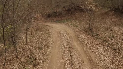 A
perspectiva do piloto a partir de um capacete. Cross country mountain bike em um dia calmo de outono.