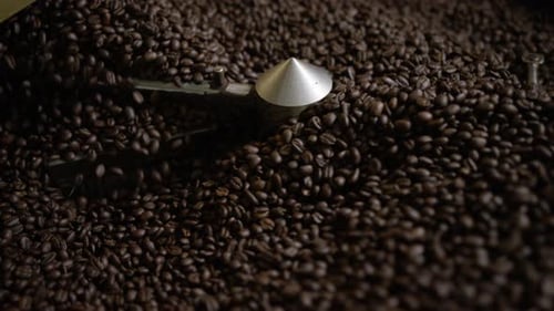 Coffee Beans Stirring in Production Machine