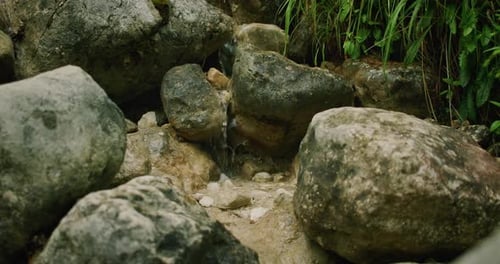 A close-up of natural rocks with water trickling through, surrounded by Austrian greenery