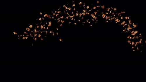 Alpha Channel Maple Leaves Seasonal 02 4K